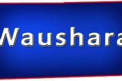 Waushara County Wisconsin Waterfront Property for Sale