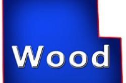 Wood County Wisconsin Waterfront Property for Sale