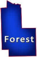 Forest County Wisconsin Waterfront Property for Sale