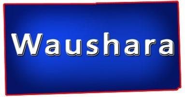 Waushara County Wisconsin Waterfront Property for Sale